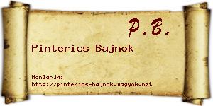 Pinterics Bajnok névjegykártya